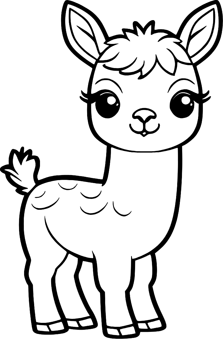 Alpaca